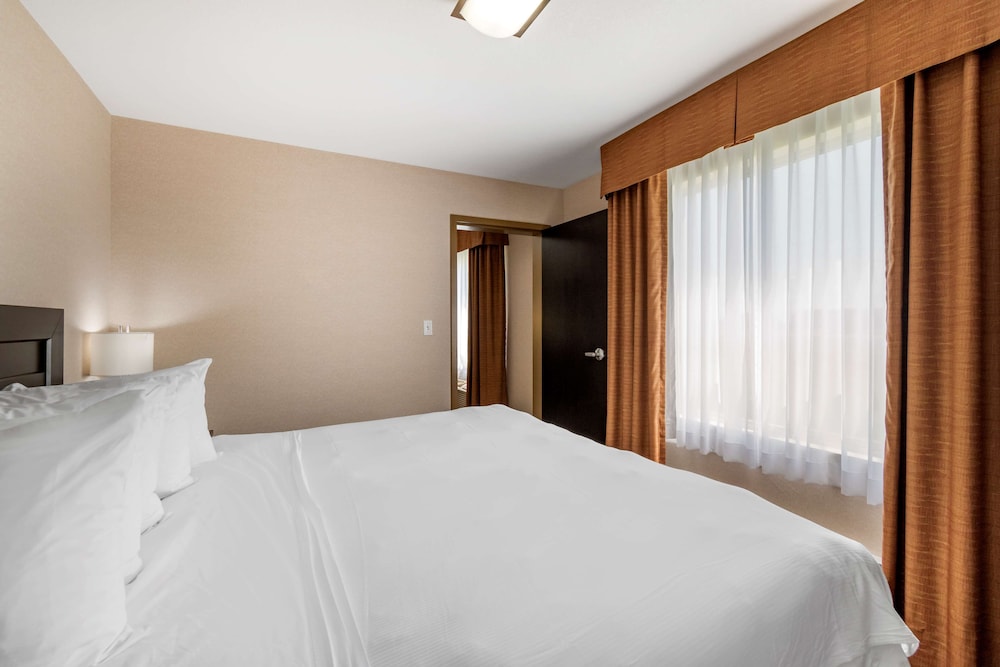 Best Western Bonnyville Inn and Suites 12/40