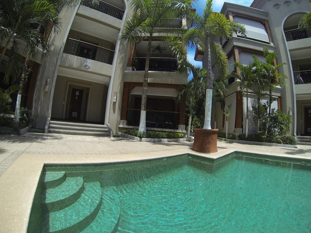 Macaws Ocean Club 43/50