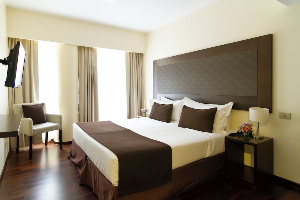 Park Royal Buenos Aires managed by Accor 15/65