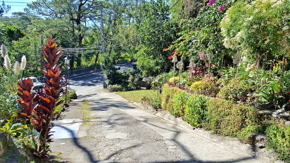 Mountain Lodge 42/42