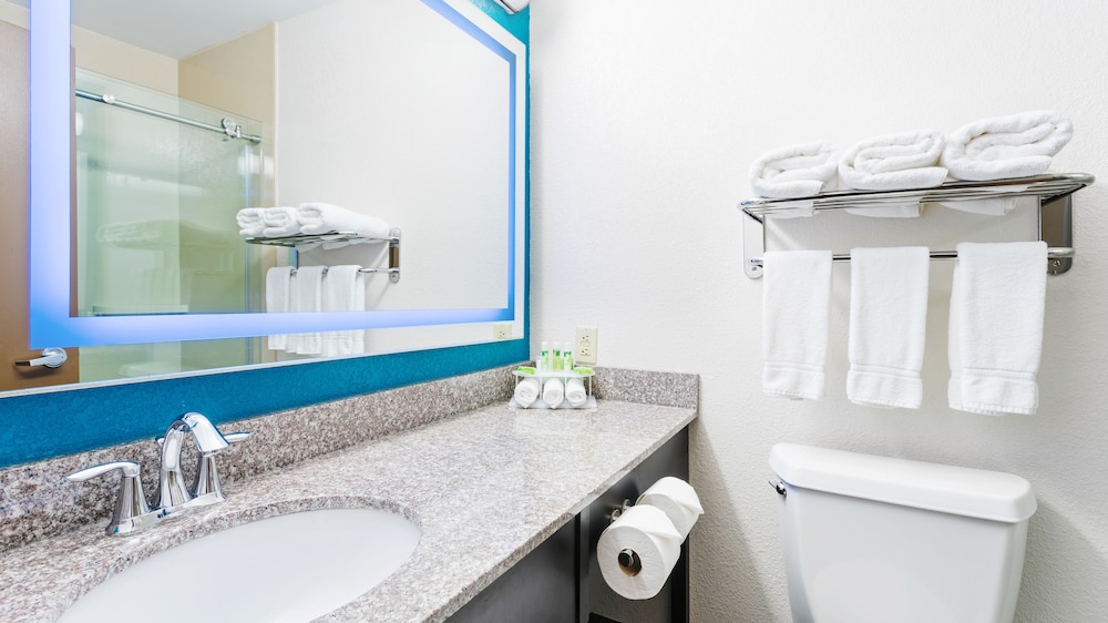 Holiday Inn Express & Suites Wyomissing 8/44