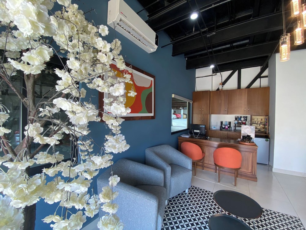 Collection O Morgan City Center, Los Cabos 46/57
