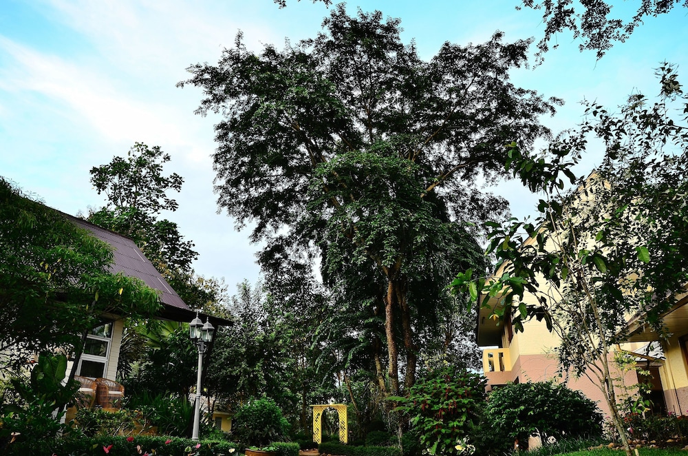 Moosi Yard Hometel Khaoyai 32/33