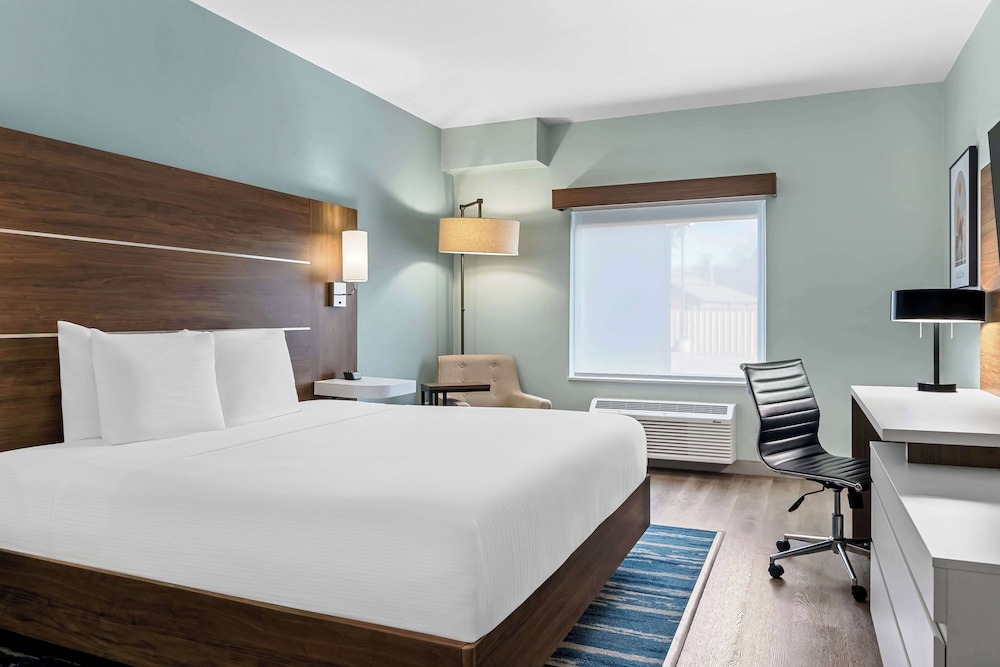 Standard, King Bed