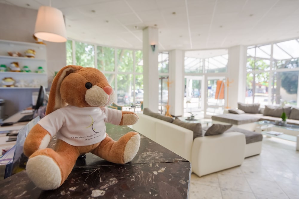 Ce Napfény Hotel 28/41