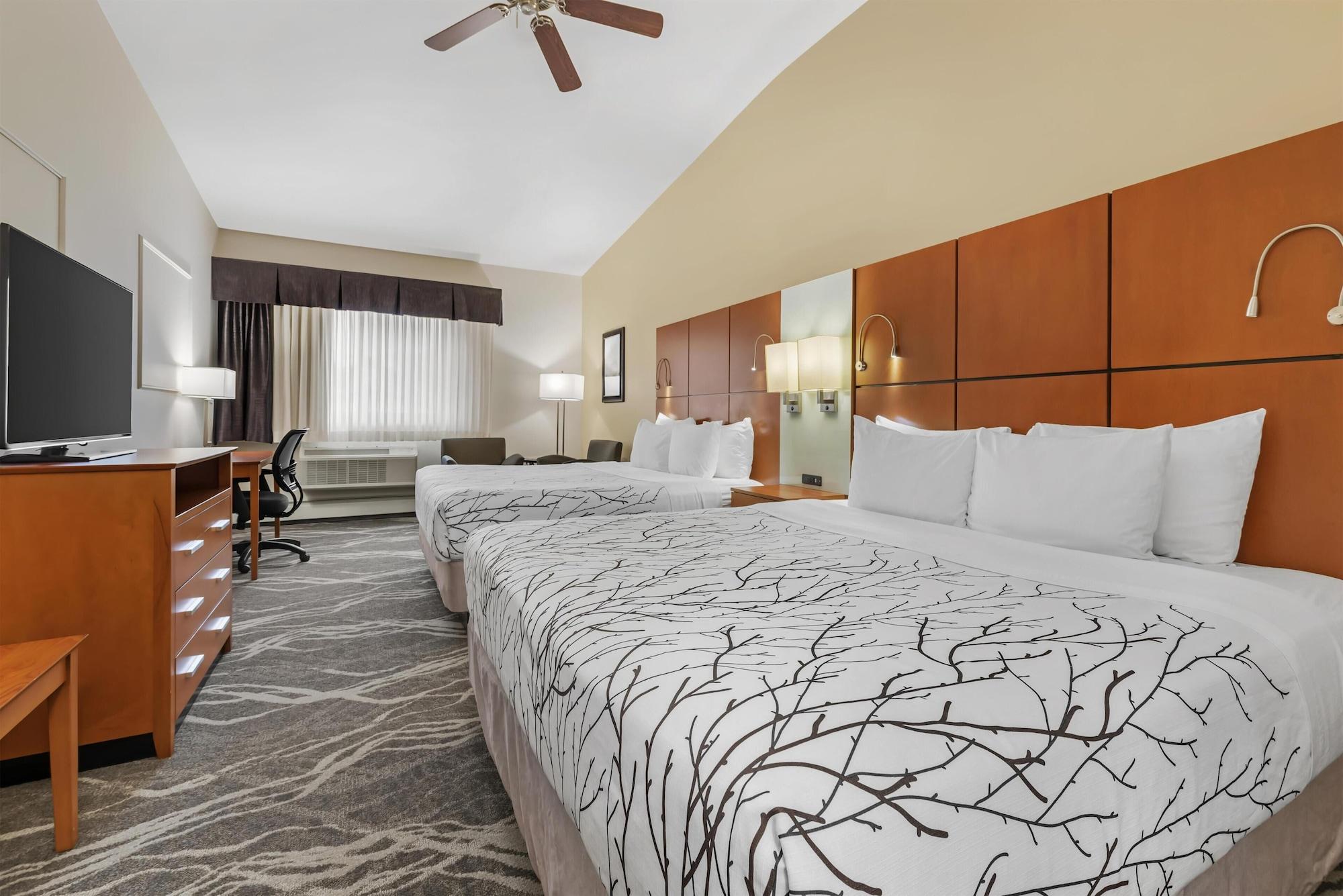 Standard, Multiple Beds, Mountain View