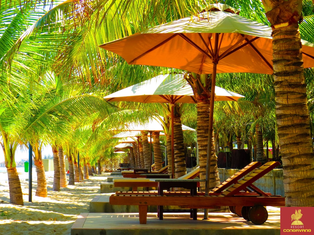 Con Ga Vang Resort 59/67