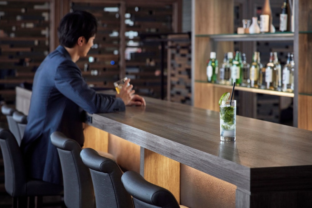 Hotel Villa Fontaine Grand Tokyo-Shiodome 36/50