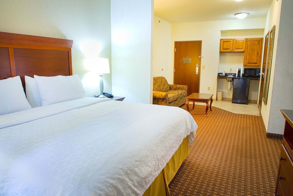 Holiday Inn Express Hotel And Suites Center Tx 20/76