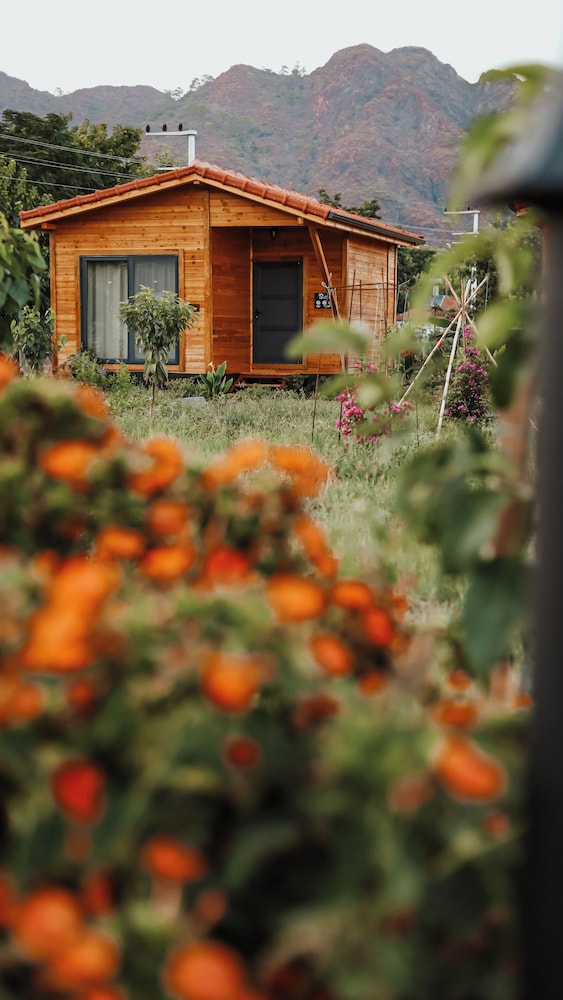 Lemon Garden Lodge 41/50