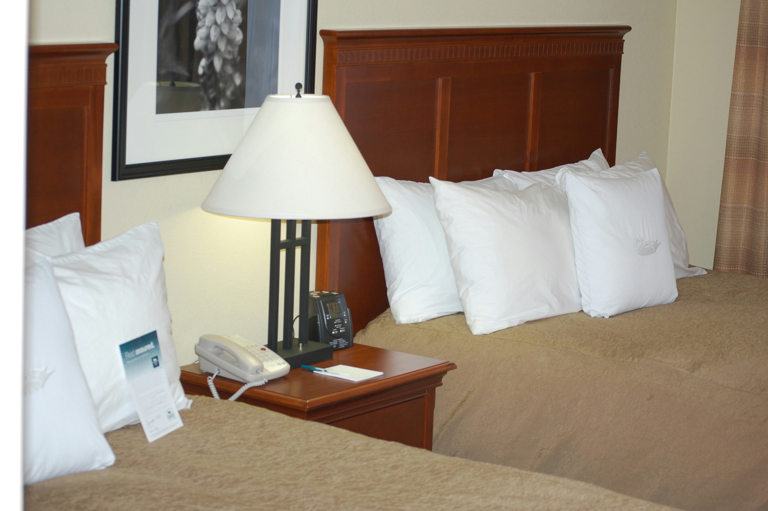 Homewood Suites by Hilton Denver - Littleton 12/40