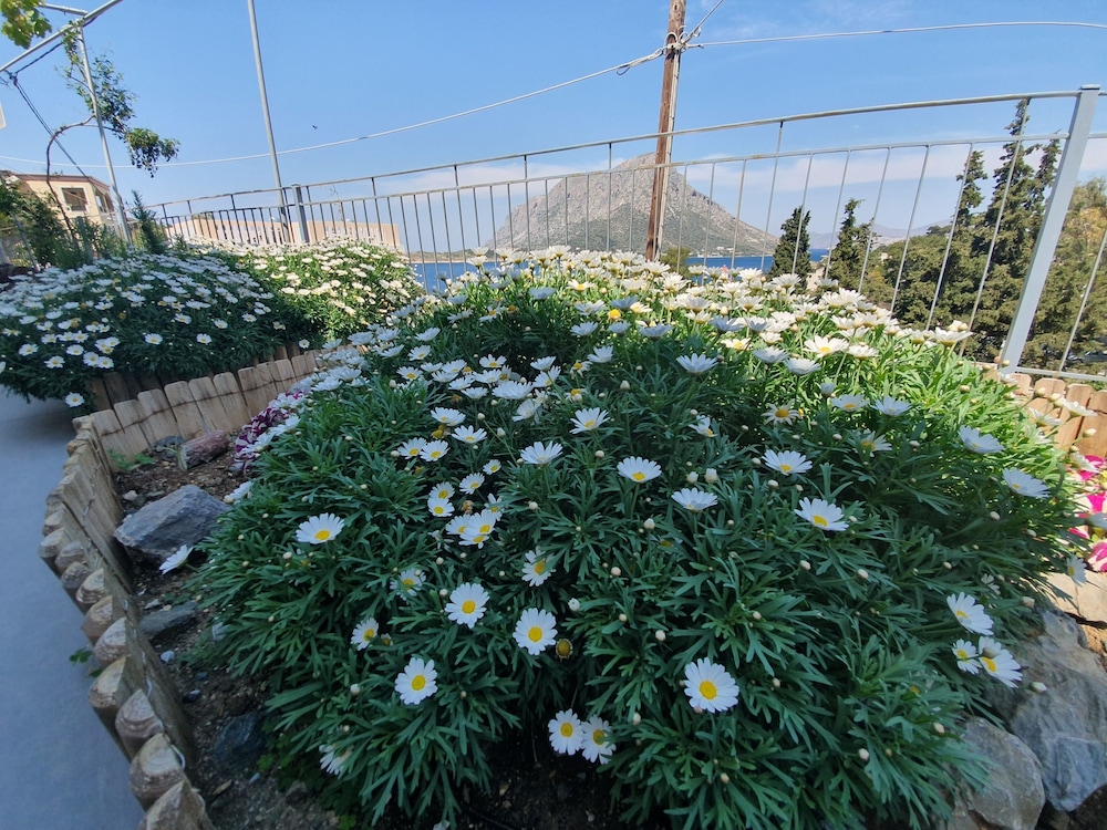 Panorama Studios & Apartments 54/66