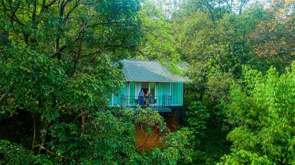 Wayanad Wild - Cgh Earth 36/48