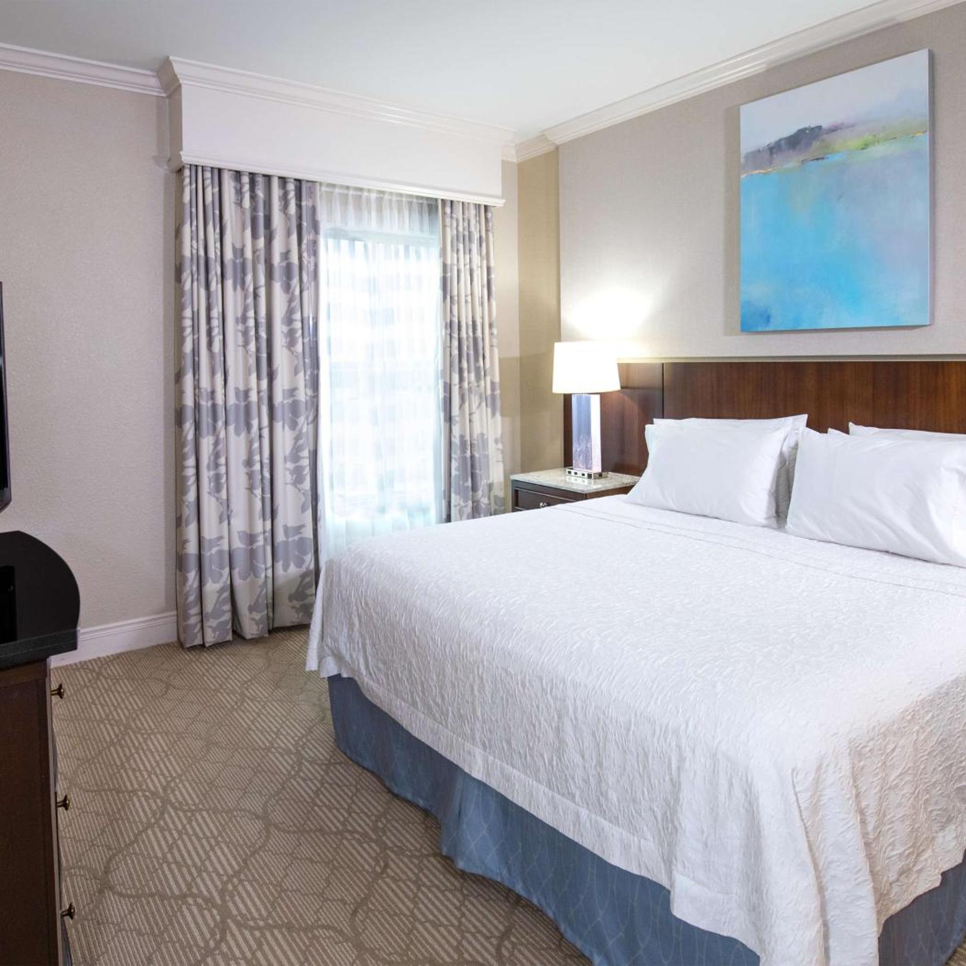 جناح بسرير كينج بغرفة نوم واحدة مع أريكة بحوض جاكوزي