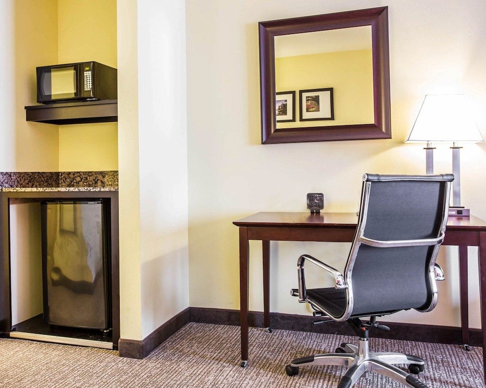 Comfort Suites Rock Hill Manchester Meadows Area 21/25