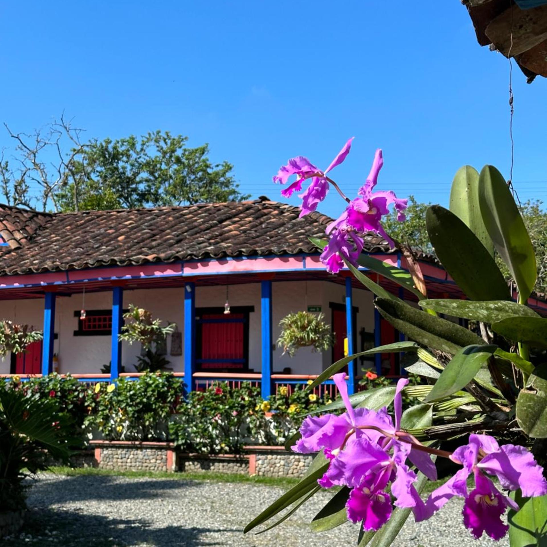 El Percal Hacienda Hotel 9/50