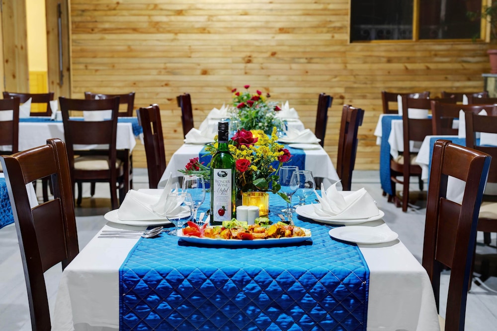 The Manali Inn 56/74
