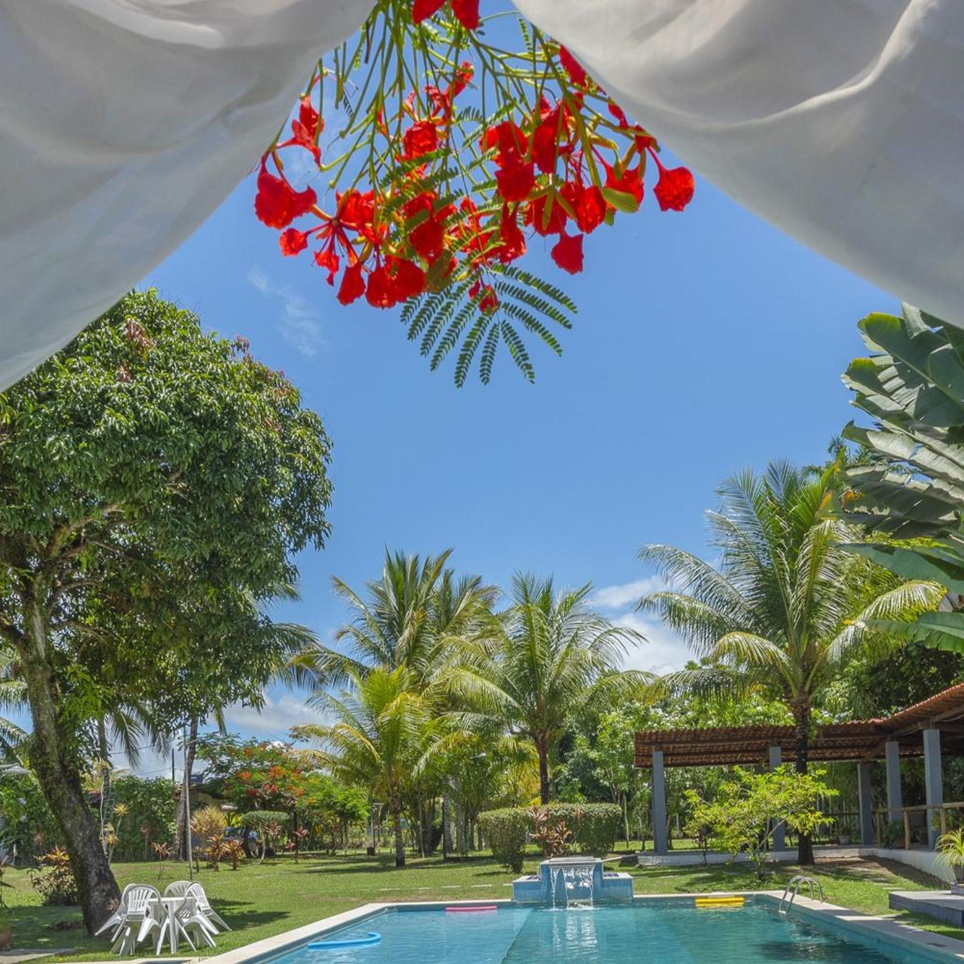 Alma Tropical Resort 40/50