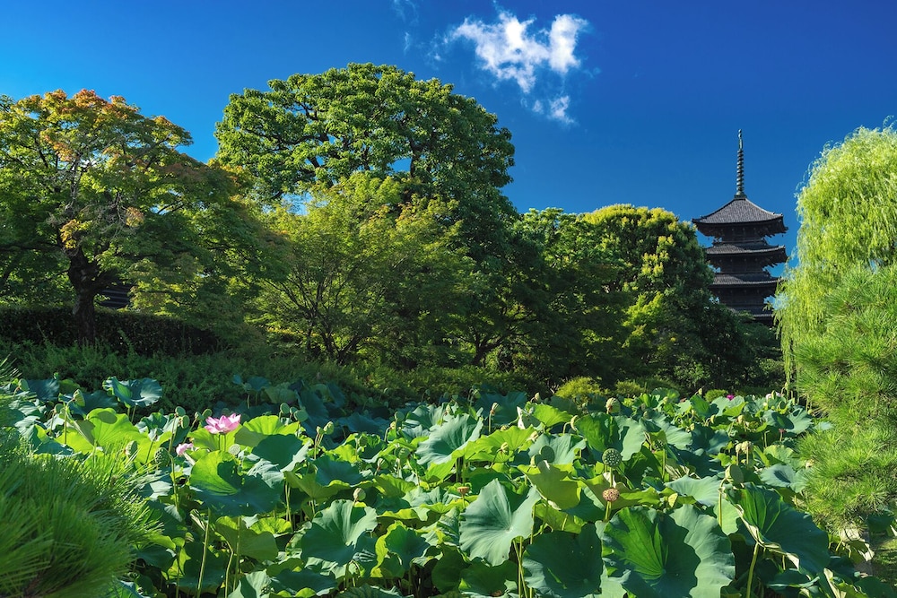 Omo3 Kyoto Toji by Hoshino Resorts 46/50