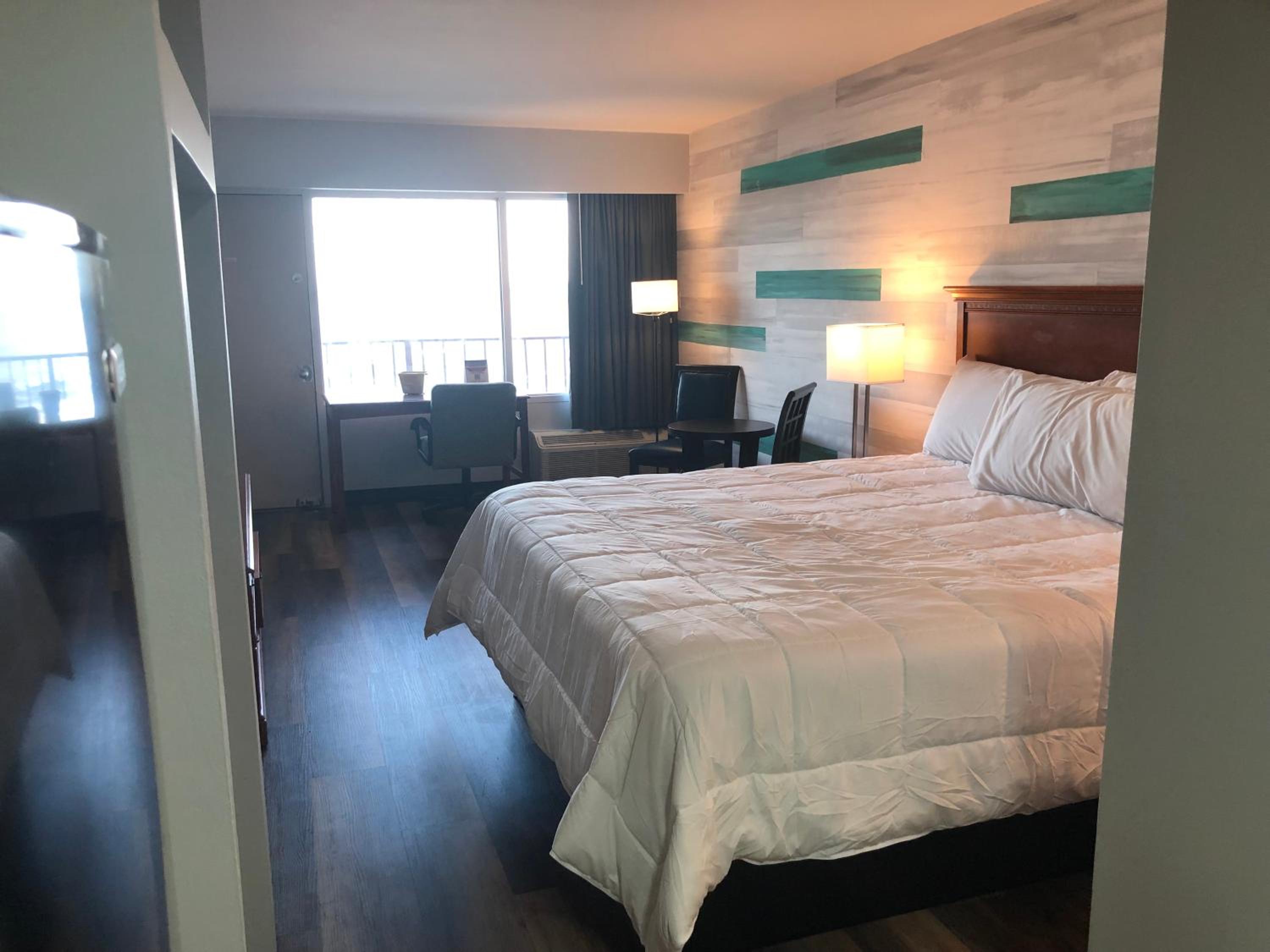 Studio, King Bed, Ocean Front