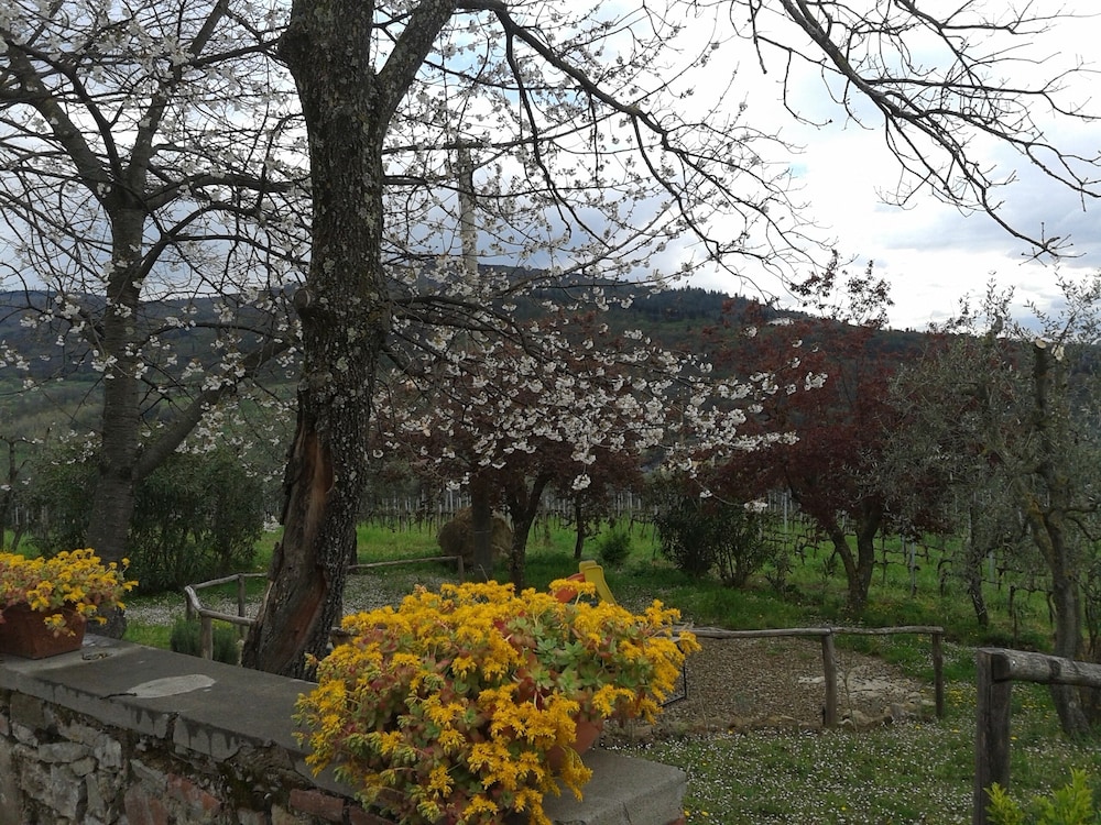 Fattoria Di Poggiopiano 41/50