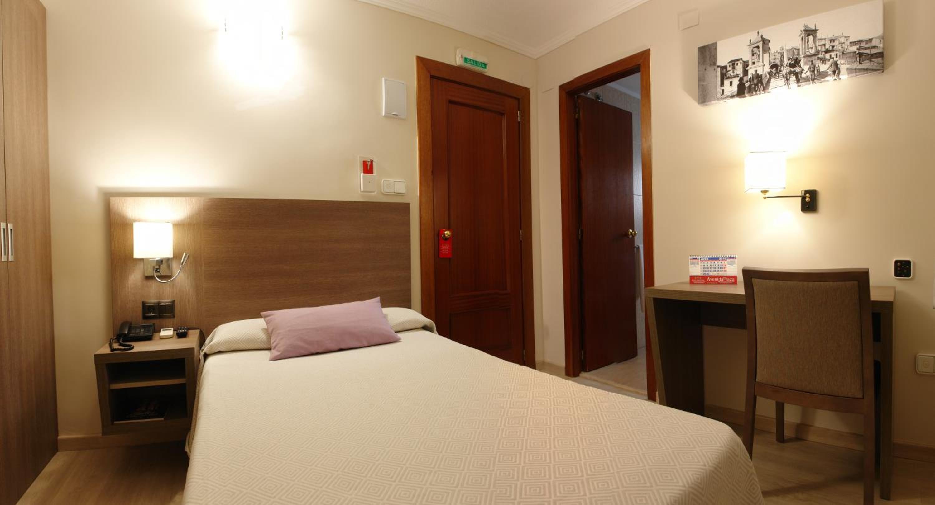 Hotel Avenida Plaza 15/41