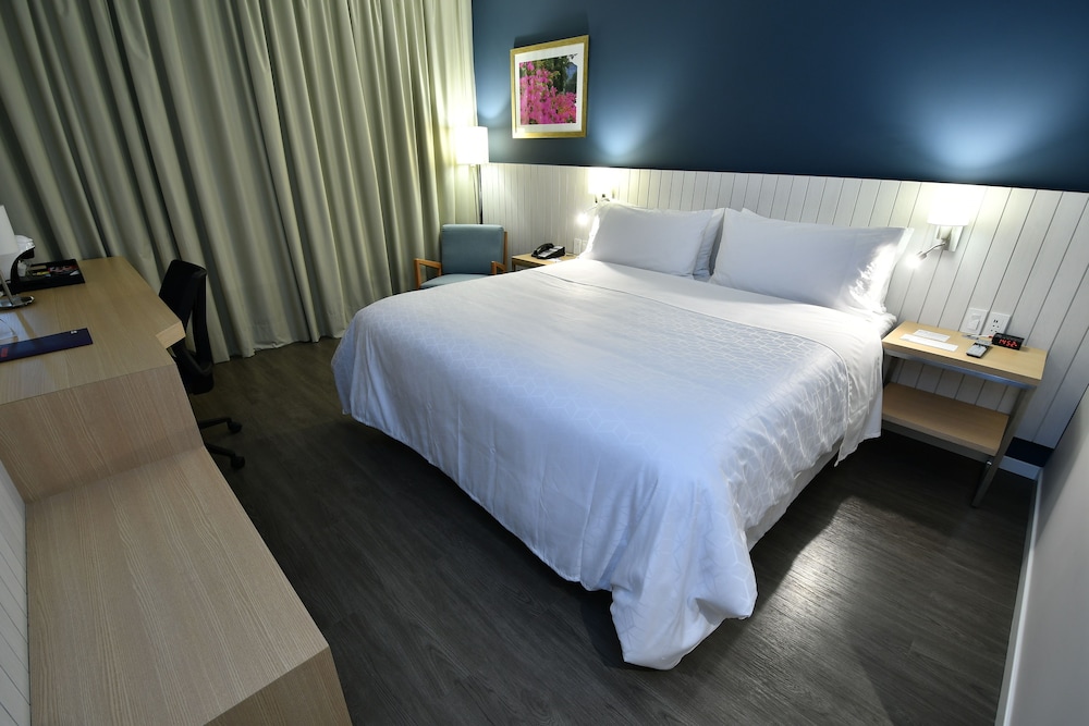 Holiday Inn Express Asuncion Aviadores 27/79