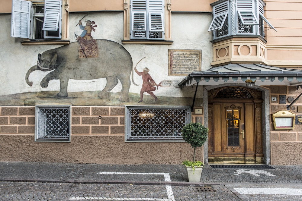 Hotel Elephant 3/50