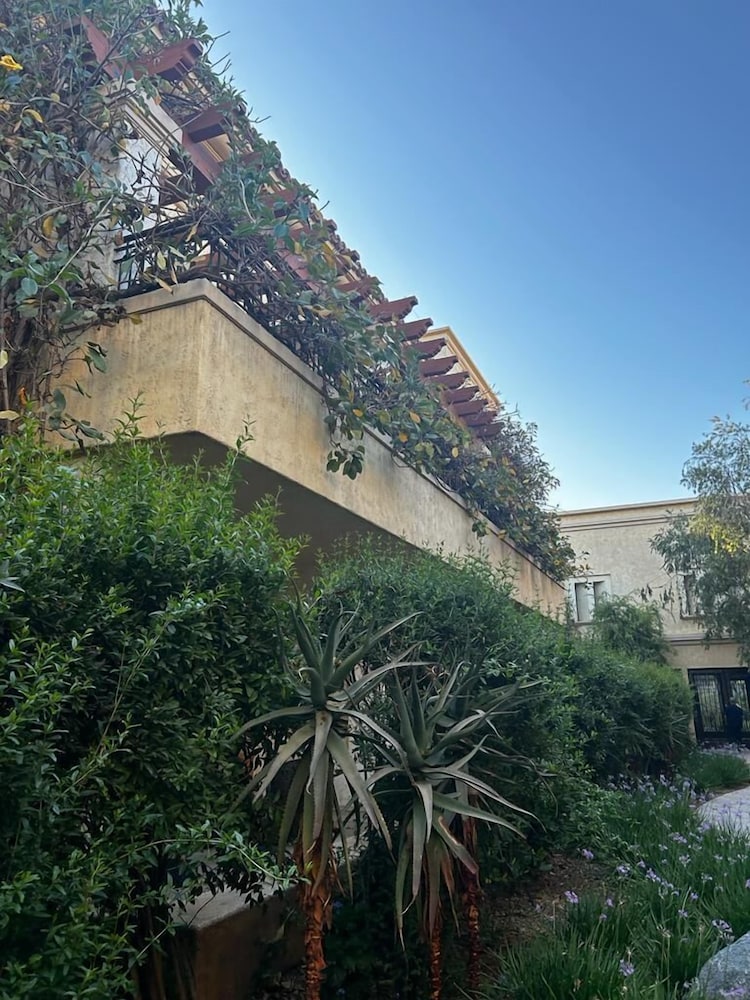 Santuario Diegueno 33/43