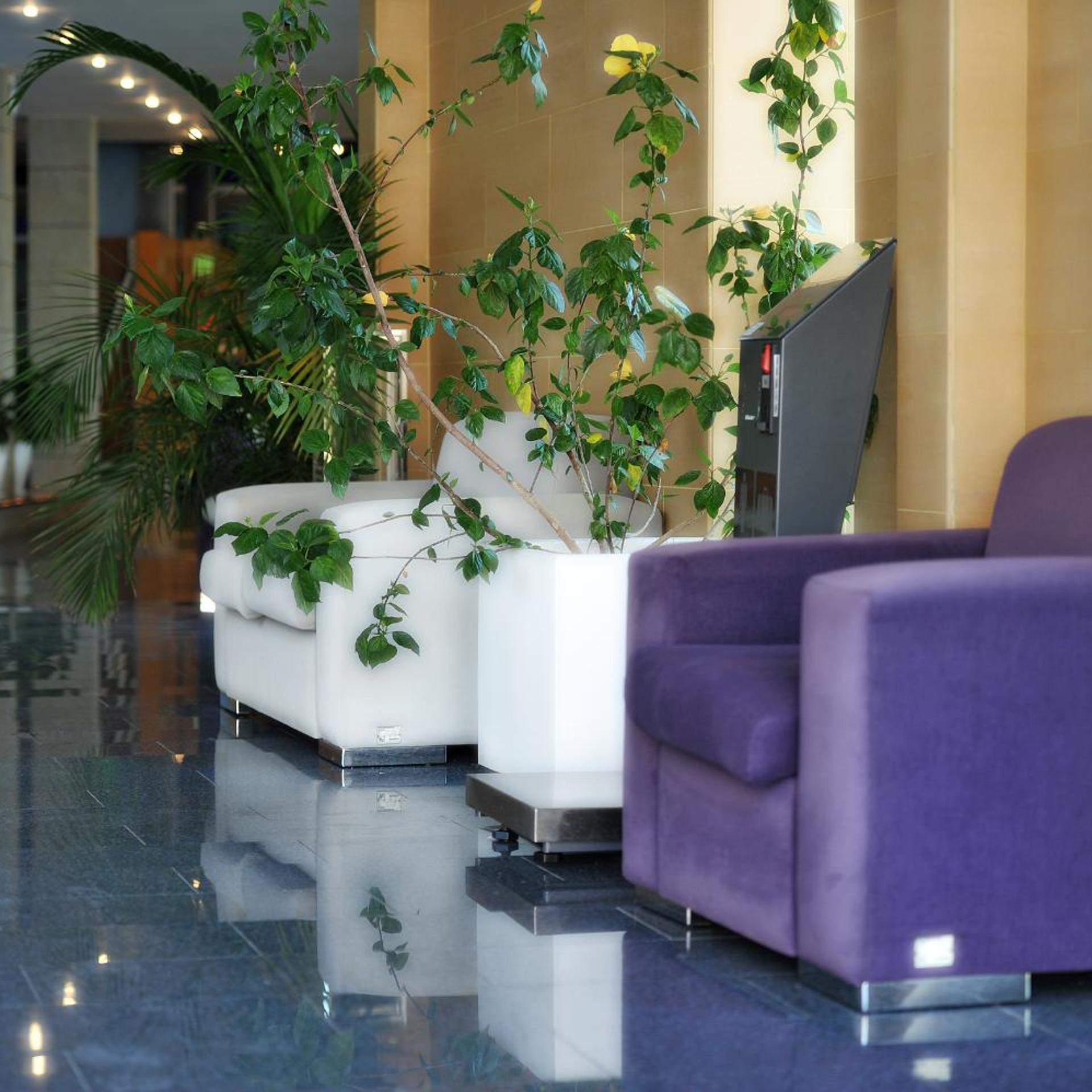 Nadal Hotel 32/51