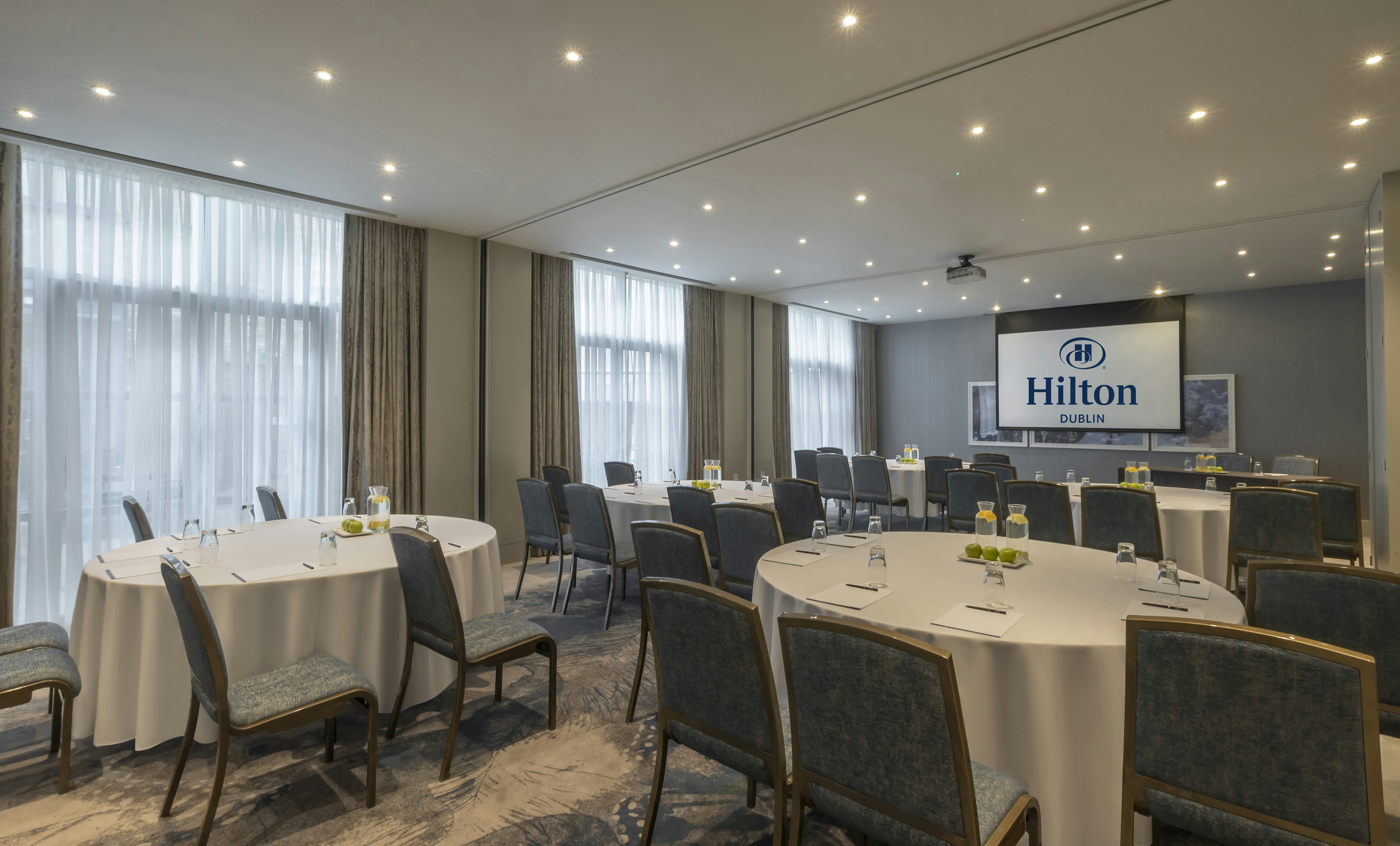 Hilton Dublin 38/50