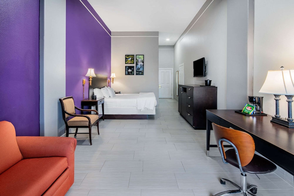 La Quinta Inn and Suites by Wyndham Alamo - McAllen East 27/45
