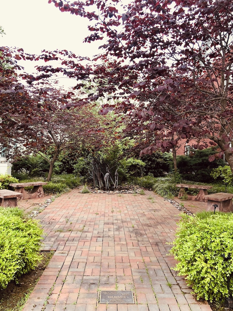 The Respite Bed and Breakfast 54/59