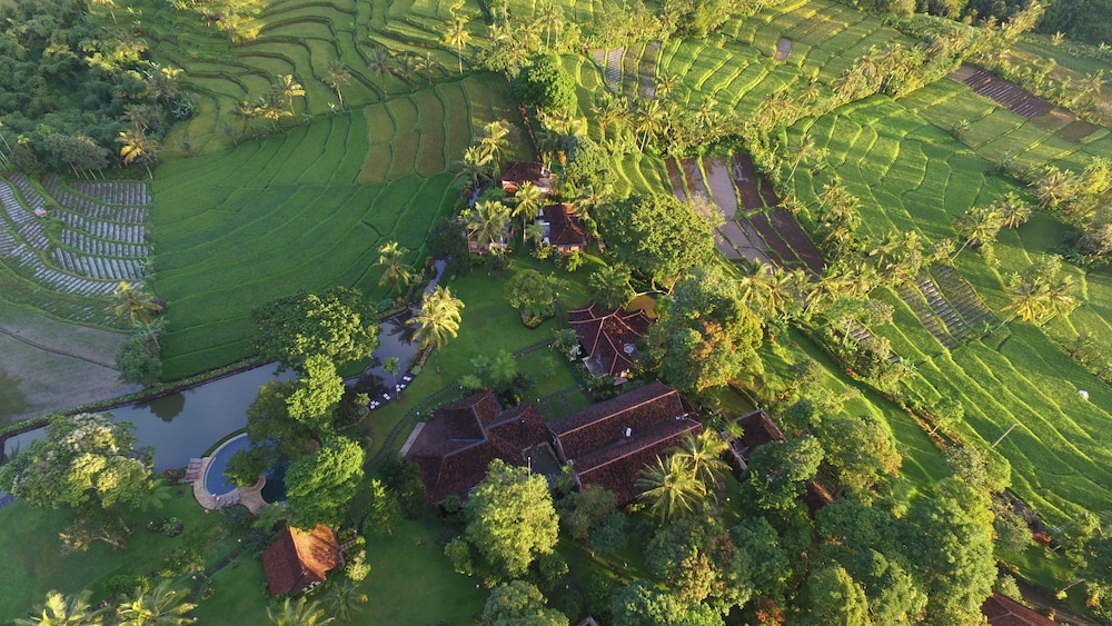 Ijen Resort 52/65