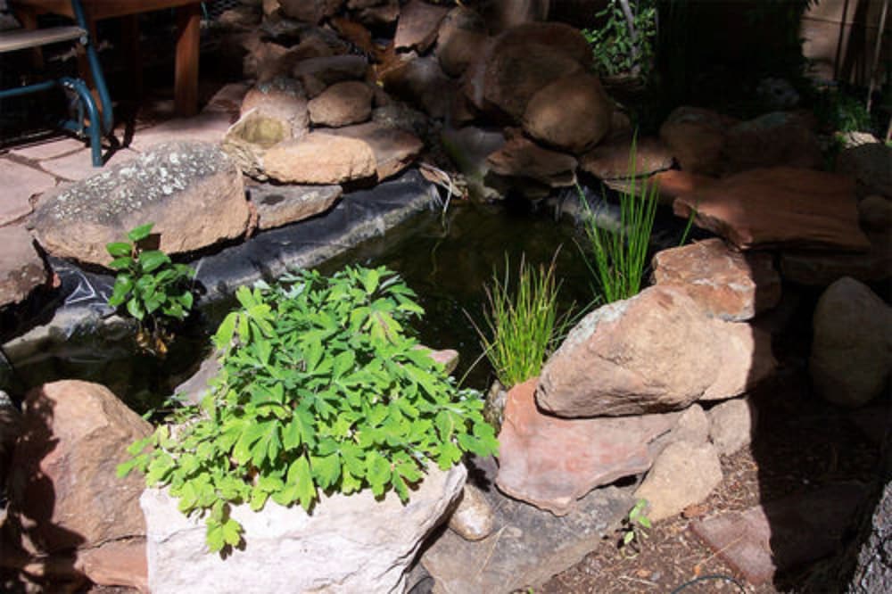 Elden Trails Bed And Breakfast 7/21