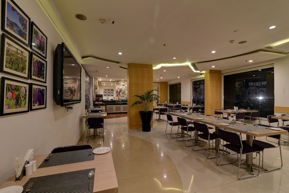 Mango Grove Hotel Chandigarh 45/62