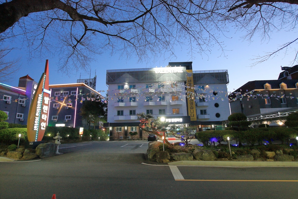 Valentine Hotel 2/47