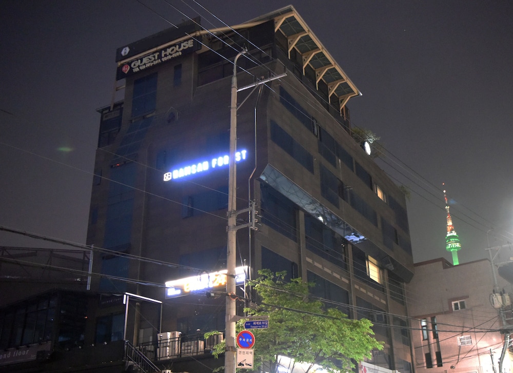 Namsan Forest In Myeongdong 2/56