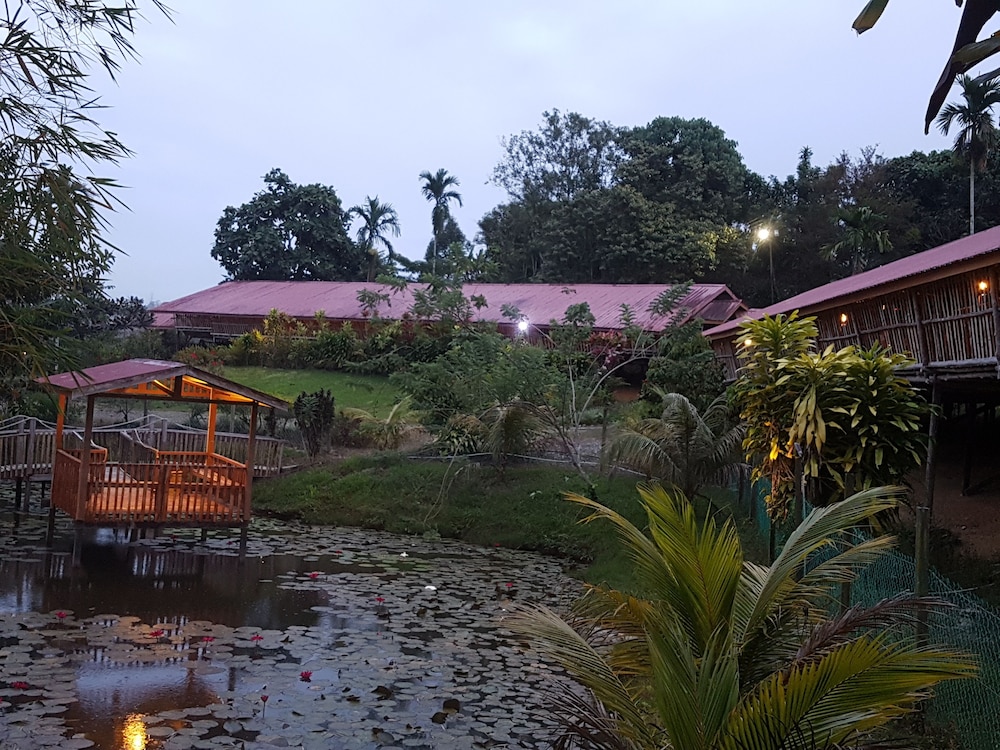 Sabah Tea Garden 11/70