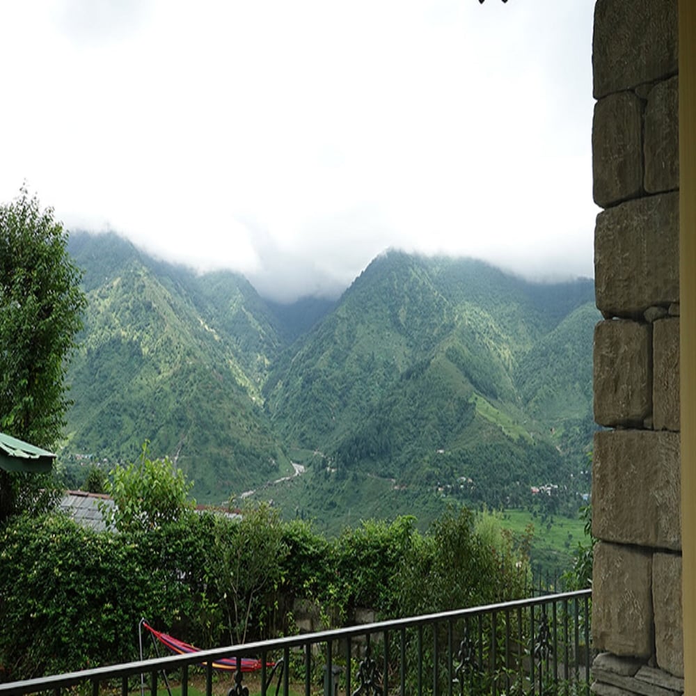 Araiya Palampur 43/50