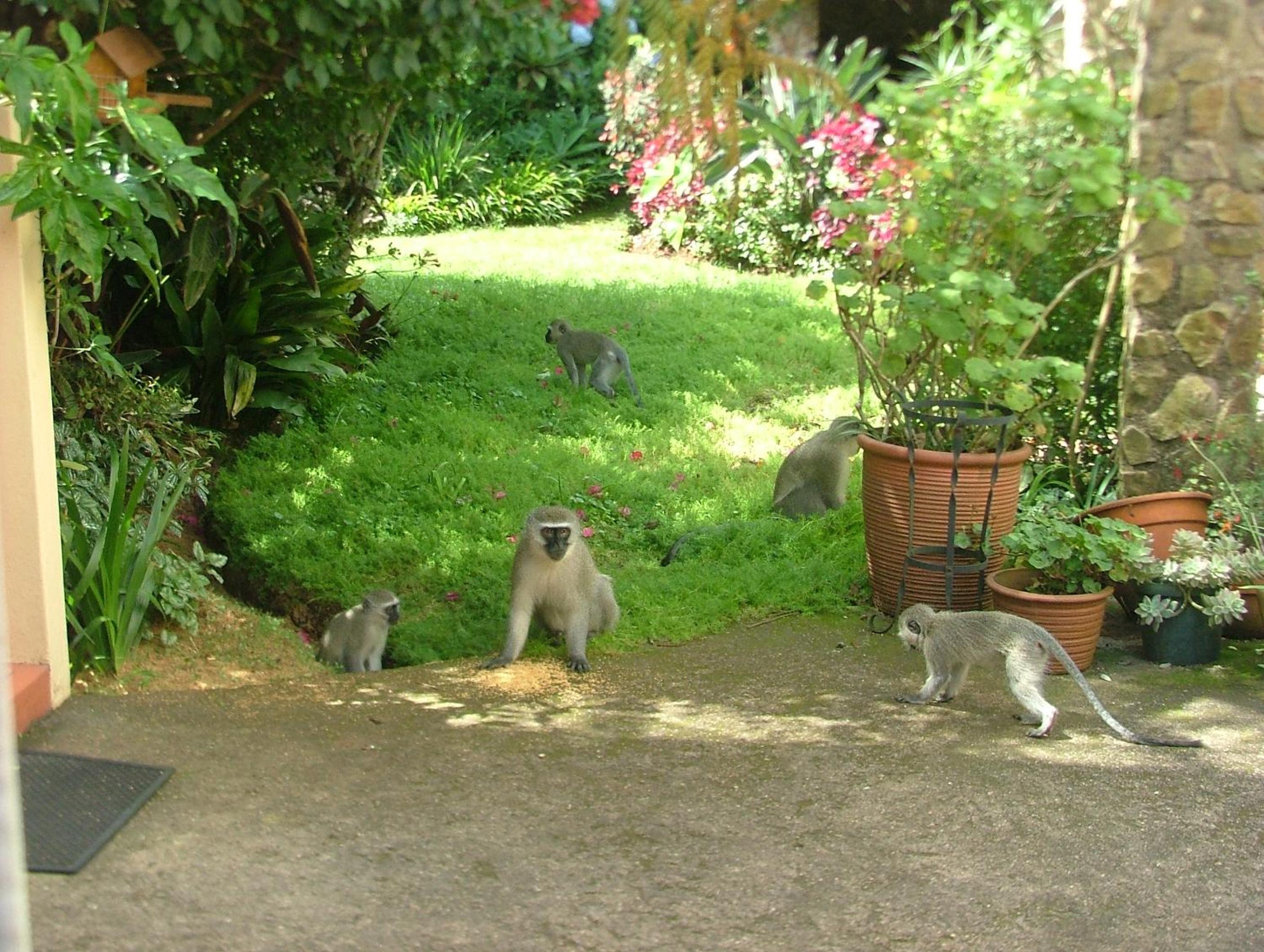York House B&B 33/47