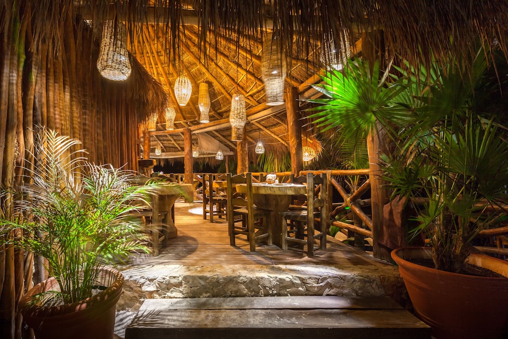 Beachfront Hotel La Palapa - Adults Only 30/36