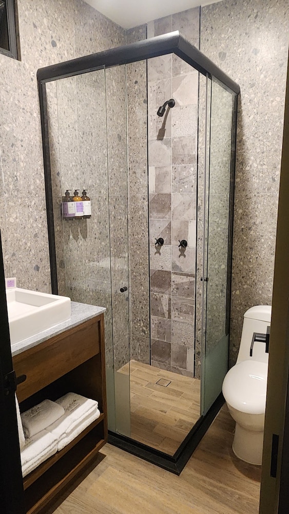 Expo Satelite Hotel and Suites 33/58