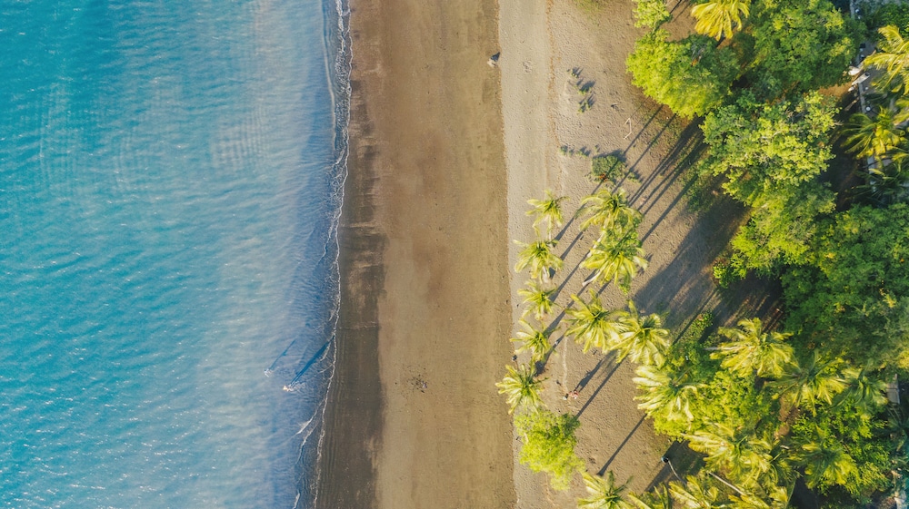 Papagayo Golden Palms Beachfront Hotel 54/65
