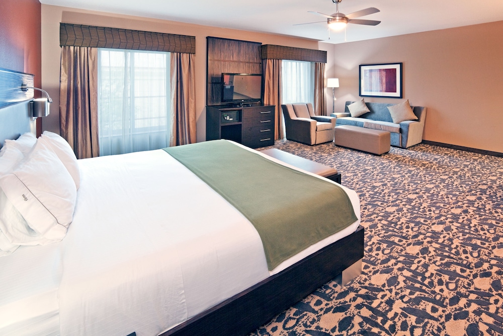 Holiday Inn Express Amp Suites North Dallas At Preston 21/48