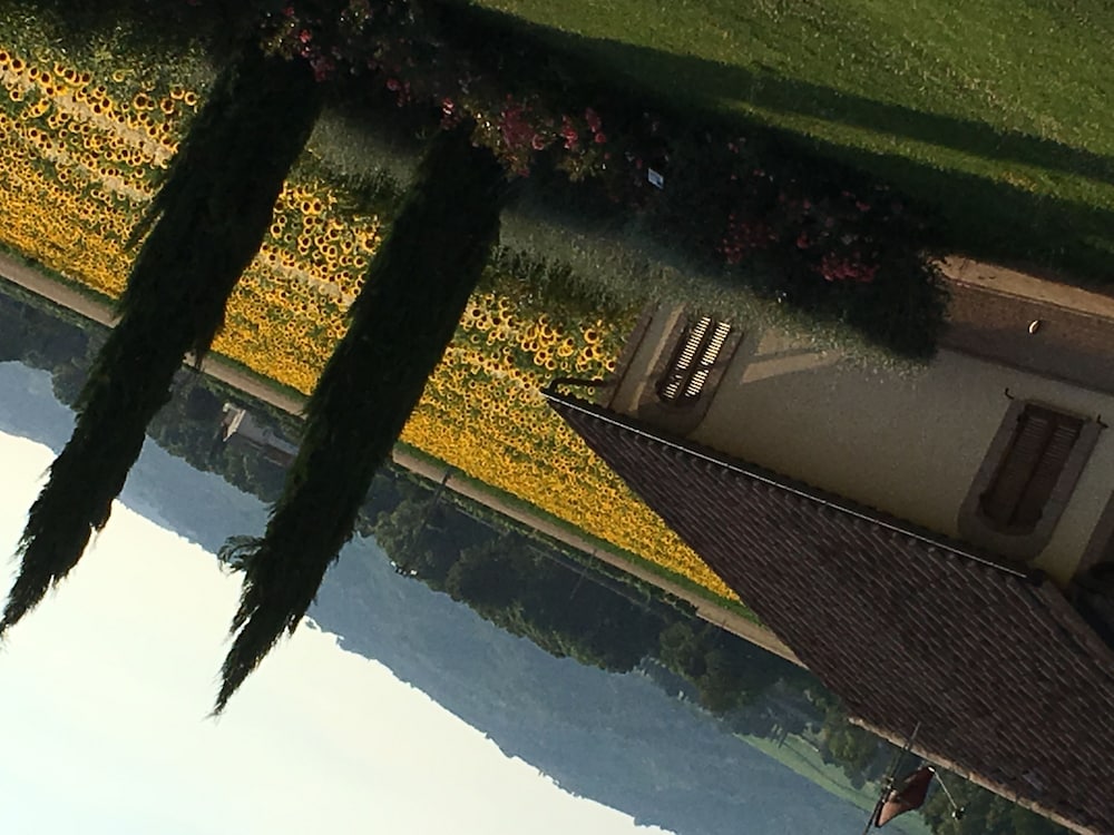 AGRITURISMO LE RONDINI DI FRANCESCO DI ASSISI 63/66