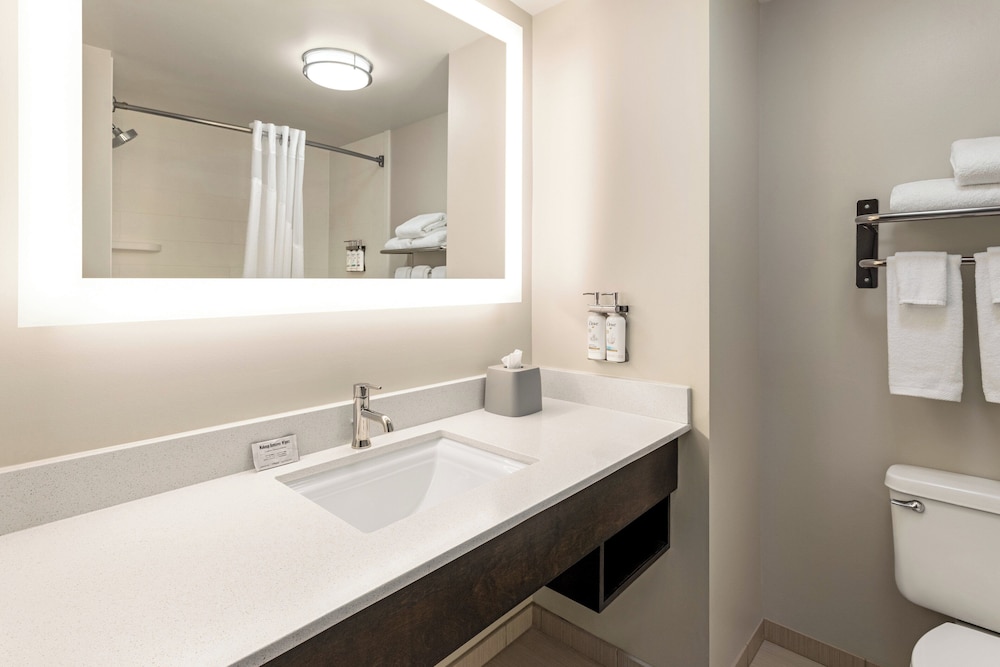 Holiday Inn Express Hotel And Suites Birmingham Irondale East 46/50