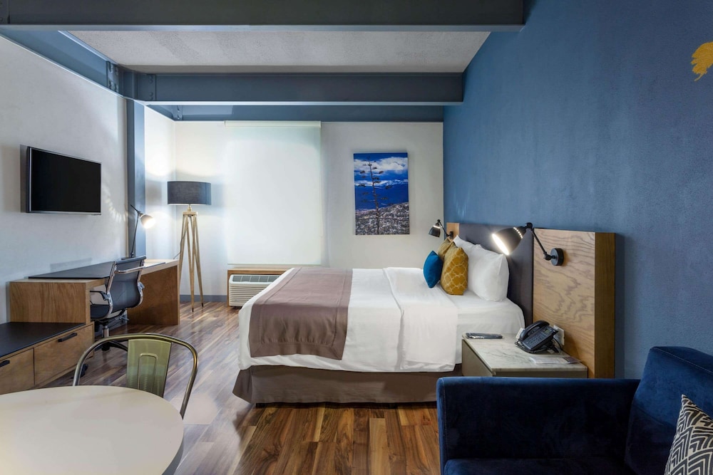 Tryp By Wyndham San Luis Potosi 11/48