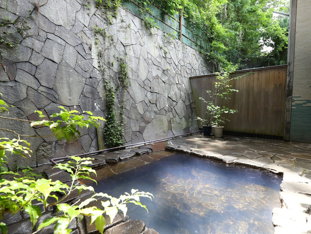 Besshoonsen Nanjyo Ryokan 26/50