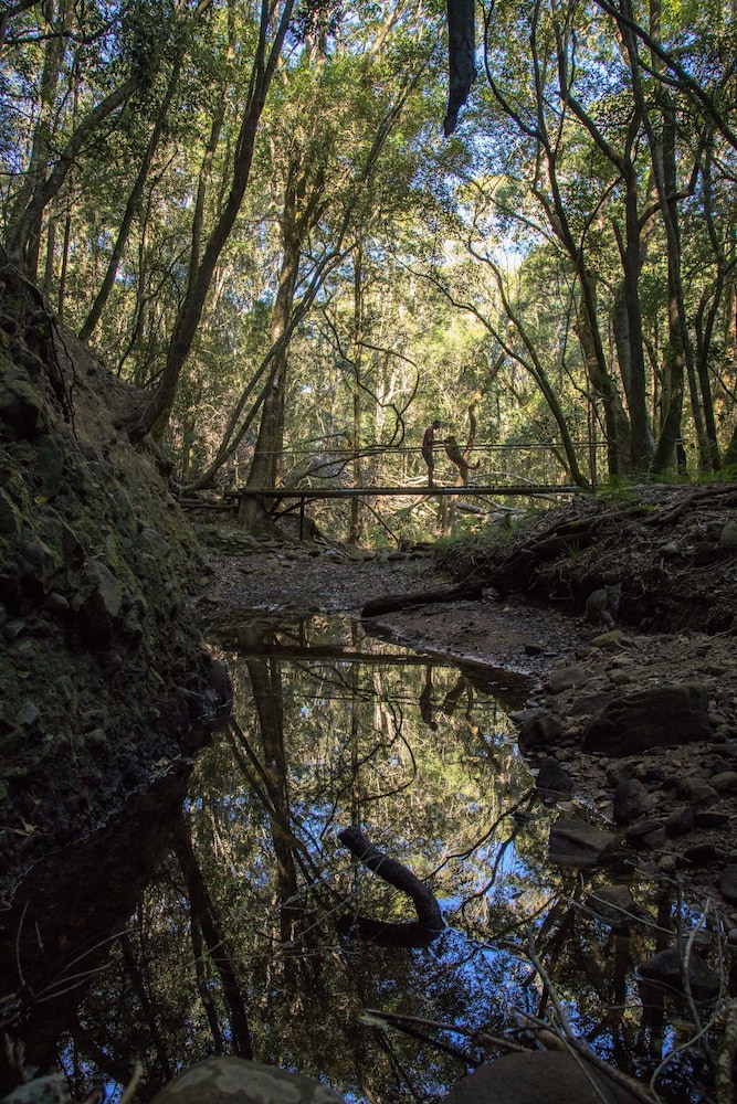 Woodlands Self Catering Knysna 31/37